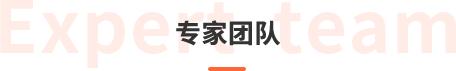 专家团队