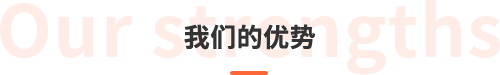 我们的优势